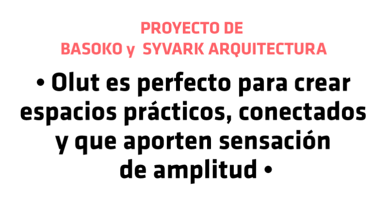 proyecto-basoko-syvark
